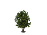 Noch 68015 - Deciduous Tree (24cm)