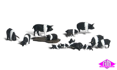 A1864 - Scenic Accents - Hampshire Pigs (HO Scale)