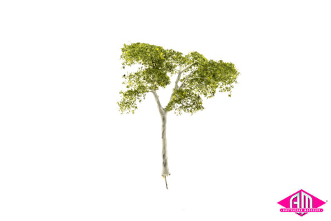 Gum Tree 90mm Medium (Single Tree)