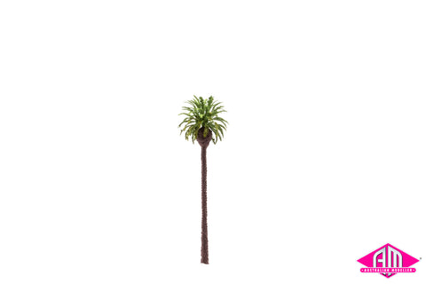 Date Palm 80x28mm (Single Tree)