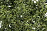 F1128 - Shrubs & Saplings - Light Green