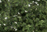 F1129 - Shrubs & Saplings - Medium Green