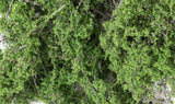 F1131 - Fine-Leaf Foliage - Medium Green