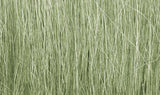 FG173 - Grass -  Light Green