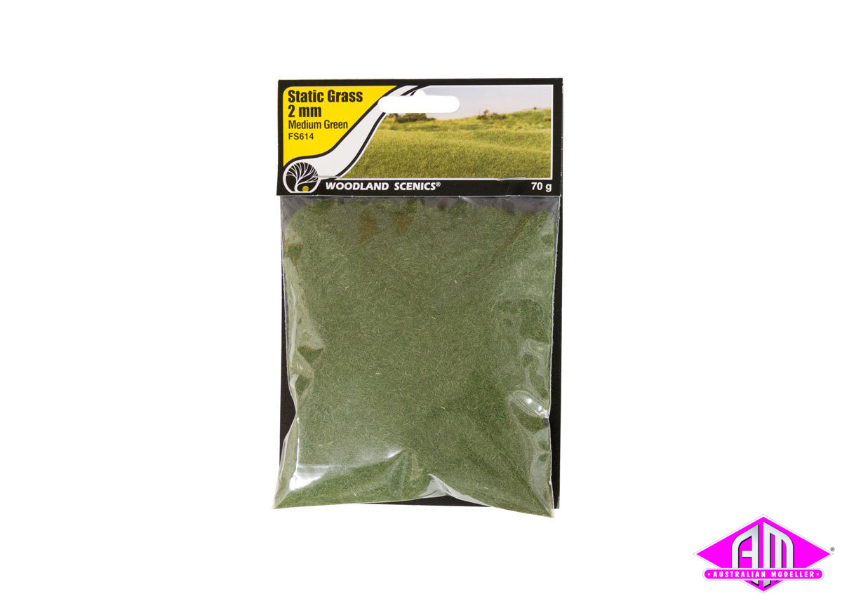 Woodland Scenics 12mm Static Grass Straw – The Field System FS628