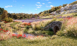 FS772 - Peel N Place Tufts - Flowering Tufts - Violet