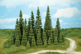 HEK-1795 - 20 Pine Trees - 3-9cm