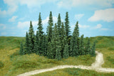 HEK-2230 - 100 Pine Trees - 5-7cm
