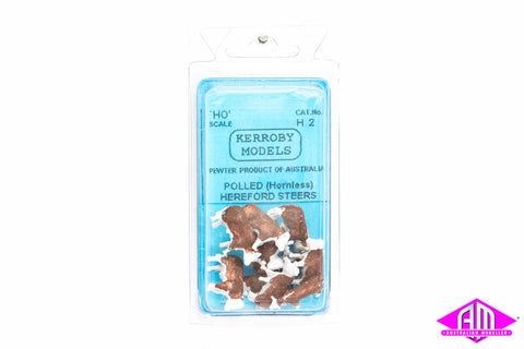 KM-H2 Hereford Steers