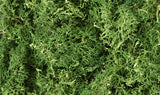 L163 - Lichen - Medium Green