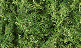 L163 - Lichen - Medium Green