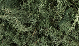 L164 - Lichen - Dark Green