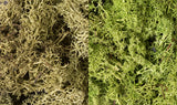 L167 - Lichen - Light Green Mix