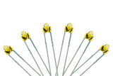 DCC Concepts LED-PWD - Panel Dot Type - 1.8mm (w/Resistors) - Prototype White (6 Pack)