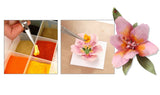 T4646 - Pollen - Orange