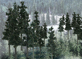 TR1580 - Trees - Pine 33pk (6.35cm-10.1cm)