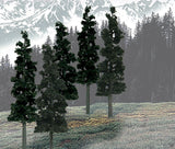 TR1582 - Trees - Conifer Colours Pine 12pc (15.2cm-20.3cm)
