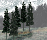 TR1582 - Trees - Conifer Colours Pine 12pc (15.2cm-20.3cm)
