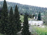 TR1586 - Trees - Evergreen Blend 13pk (10.1cm-15.2cm)