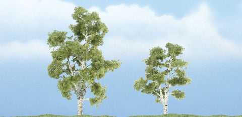 TR1603 - Trees - Sycamore 2pk (5.71cm-7.62cm)