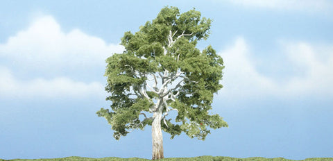 TR1609 - Tree - Sycamore 1pc (9.84cm)