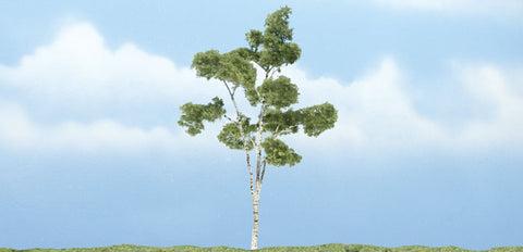 TR1616 - Tree - Paper Birch 1pc (10.1cm)