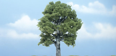 TR1620 - Tree - Oak 1pk (12.7cm)