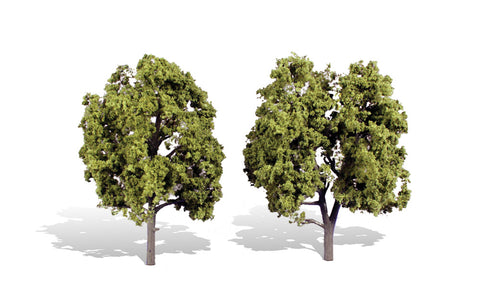 TR3512 - Trees - Early Light 2pk (12.7cm-15.2cm)