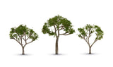 TR3525 - Trees - Gum Tree 3pk (6.35cm-8.89cm)