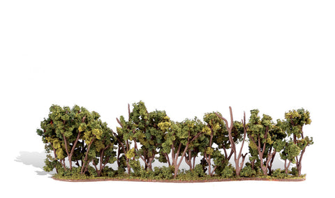 TR3581 - Trees - Hedgerow 1pk (2.54cm x 6.03cm x 19.6cm)