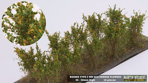 WB-SCO - Bushes - Type C - Orange Flowers